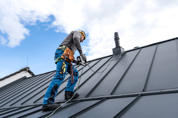 Best Roof Insulation Installation  in Ball Ground, GA